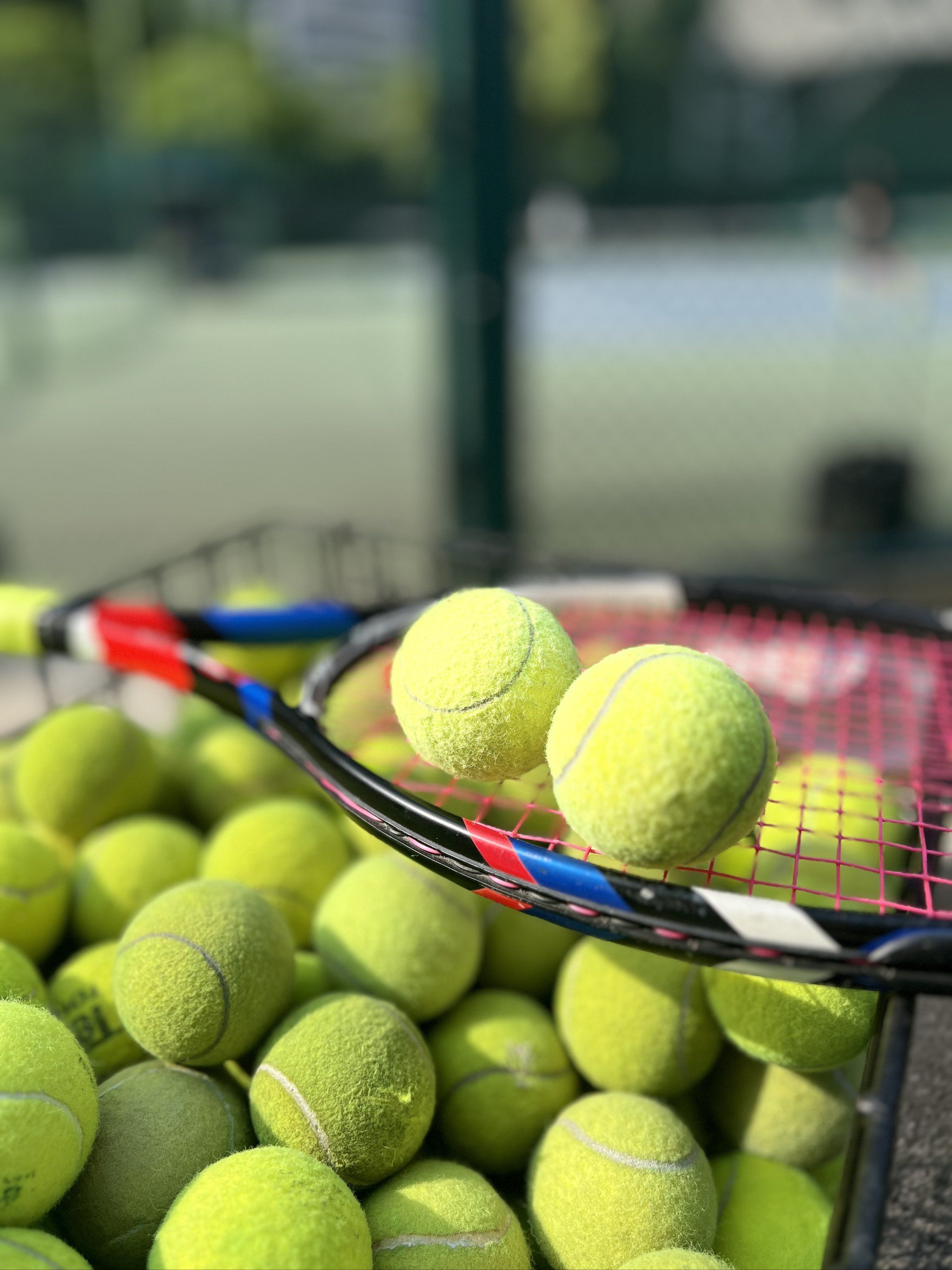 既能腾出薪 既能腾出薪