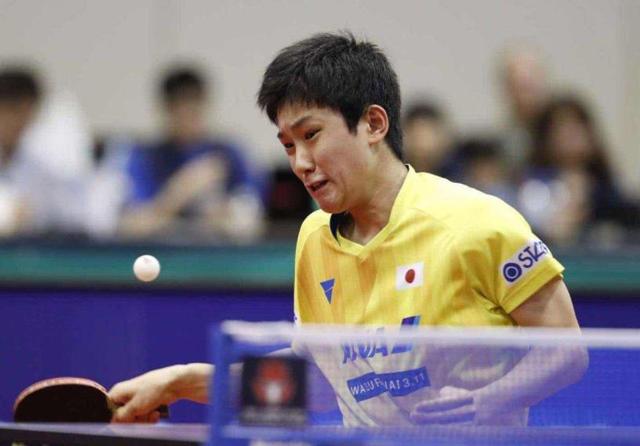 样遵循这一 样遵循这一